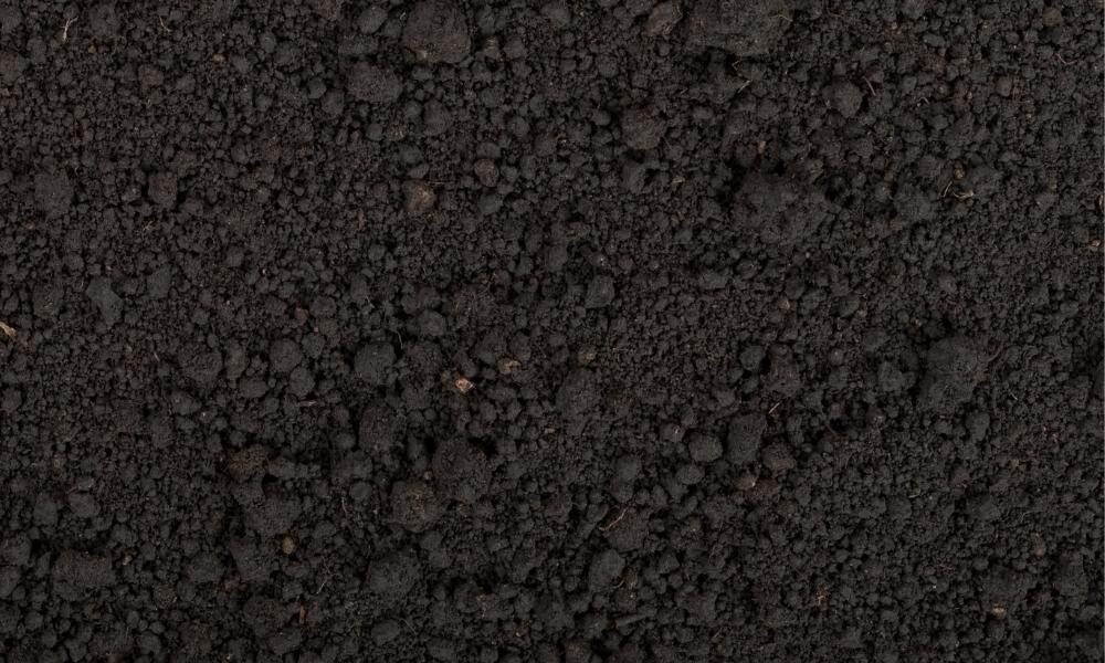 Black dirt in Alberta